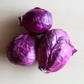 Cabbage (46)-9255894-82121.webp